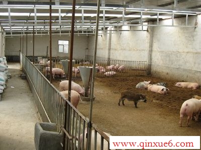 Щhttp://www.qinxue6.com